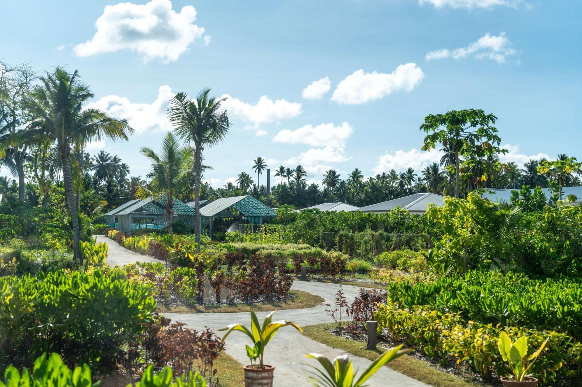 Waldorf Astoria Seychelles Platte Island Hotel Kültér fotó